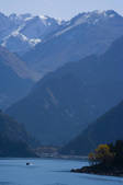 tkf005_2319011