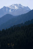 tkf005_2319012