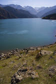 tkf005_2319016