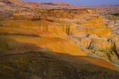 tkf005_2319299
