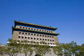 tkf005_2319498