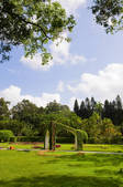 tkf005_2319573