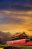tkf005_2324653