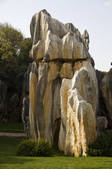 tkf005_2337230
