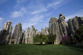 tkf005_2337235