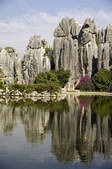 tkf005_2337238