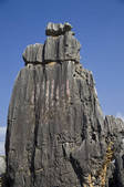 tkf005_2337240