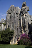 tkf005_2337241