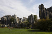 tkf005_2337244