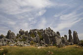 tkf005_2337250