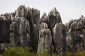 tkf005_2337252