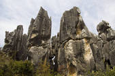 tkf005_2337254