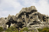 tkf005_2337255