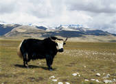 tkf005_2347801