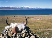 tkf005_2347802