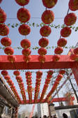 tkf005_2347989