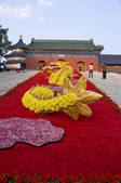 tkf005_2348315