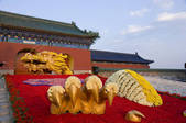 tkf005_2348316
