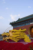 tkf005_2348318