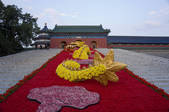 tkf005_2348319
