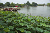 tkf005_2348643