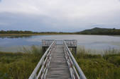 tkf005_2349285