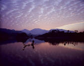 tkf005_2350201
