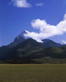 tkf005_2350229