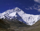 tkf005_2350232