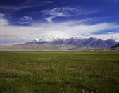 tkf005_2350236