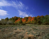 tkf005_2350249