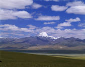 tkf005_2350263