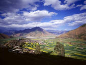 tkf005_2350292