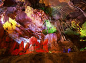 tkf005_2350302