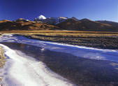 tkf005_2350313