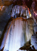 tkf005_2350314