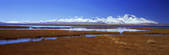 tkf005_2350446