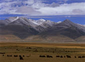 tkf005_2350662