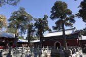 tkf005_2351008
