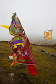 tkf005_2356816