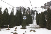 tkf005_2366509