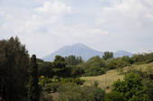 tkf005_2366832