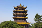 tkf005_2380220