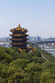 tkf005_2380227