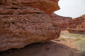 tkf005_2386386