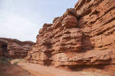 tkf005_2386387