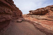 tkf005_2386407