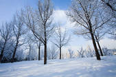 tkf005_246369