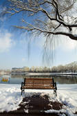 tkf005_246373