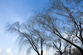 tkf005_246376